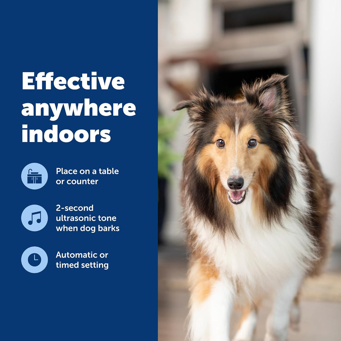 PetSafe Indoor Ultrasonic Dog Bark Control, Up to 25 ft