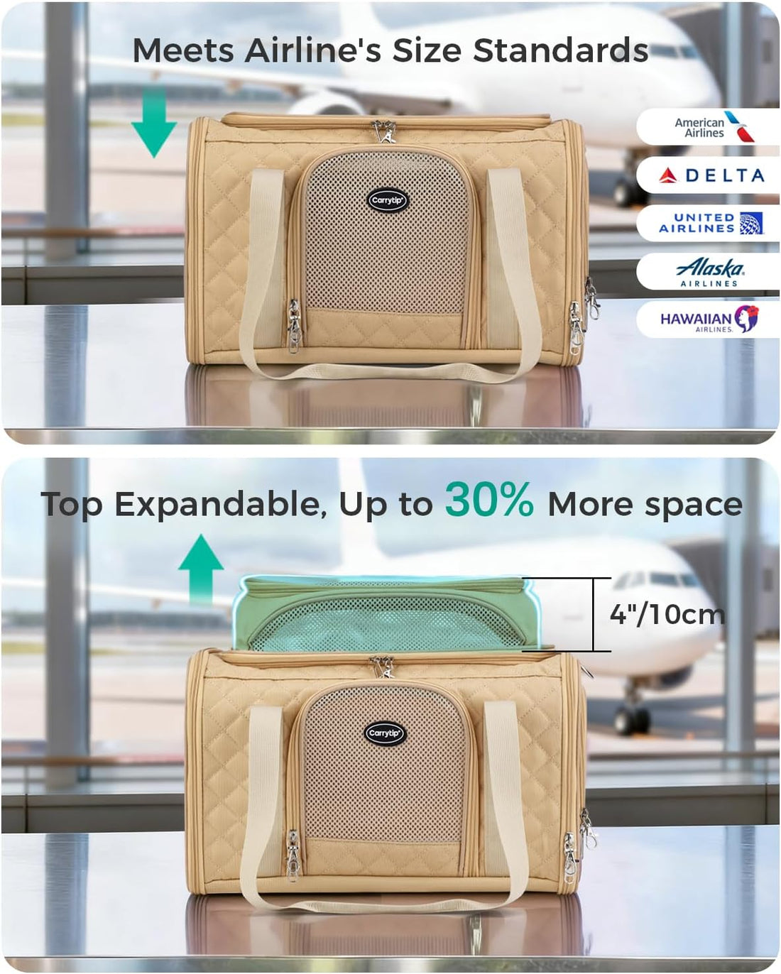 CarryTip Cat Carrier Airline Approved 17x11x9.5 Inches