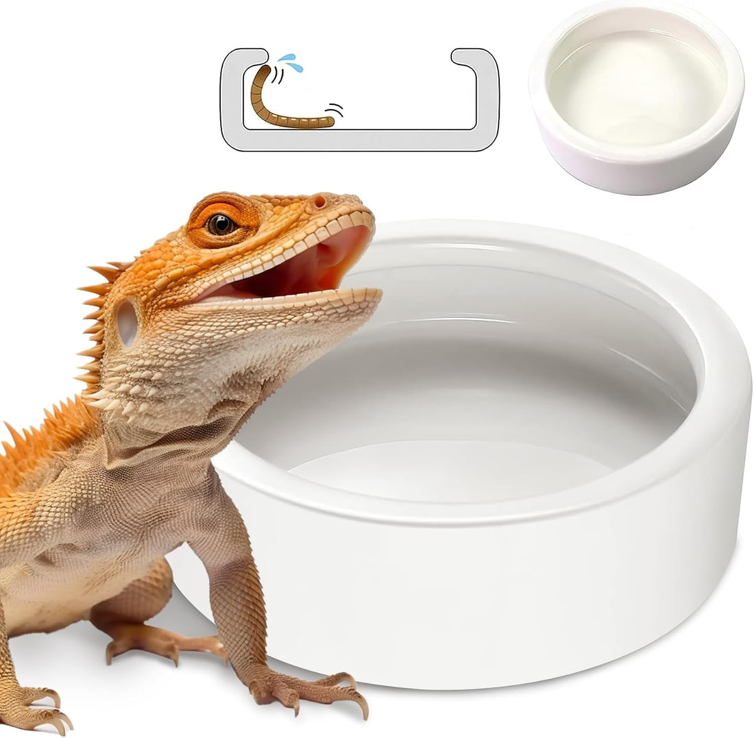Reptile Food Dish Bowl 2Pcs Lizard Gecko Worm Water Bowls Small