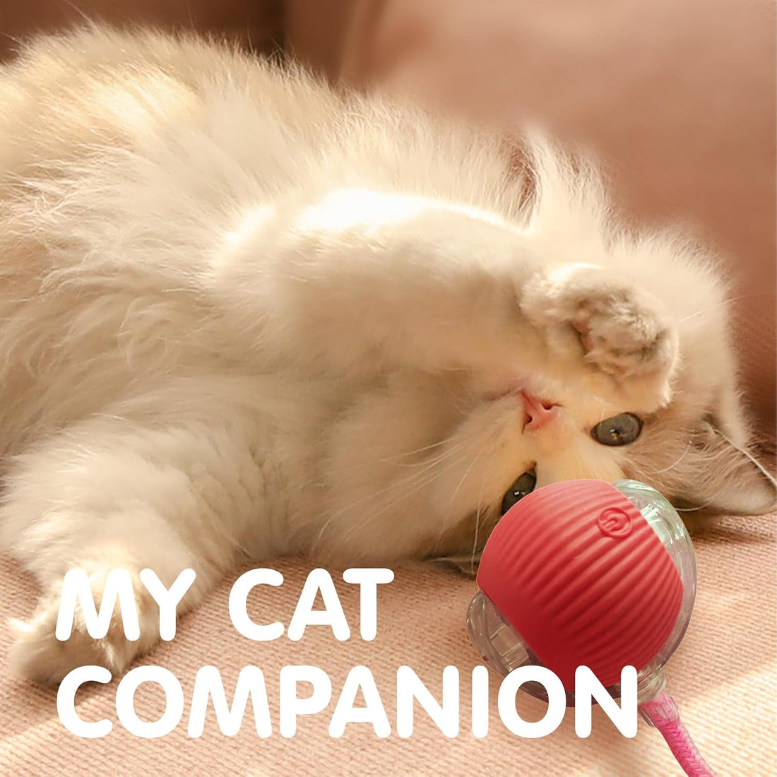 Rocfish Interactive Cat Toys for Indoor Cats, Automatic Cat Ball Toy