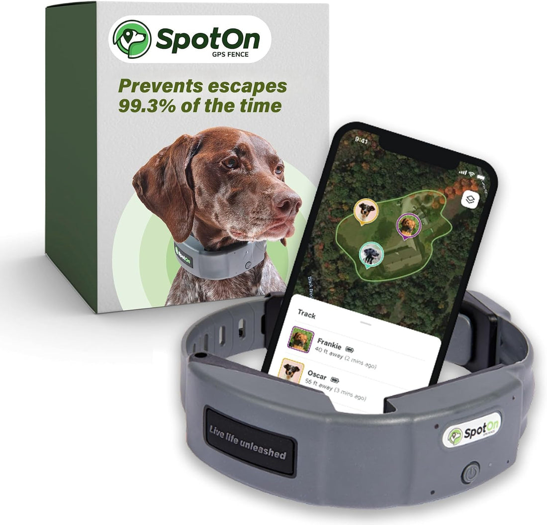 SpotOn Omni GPS Dog Fence Collar, Medium Dogs 12-18 Inch Neck
