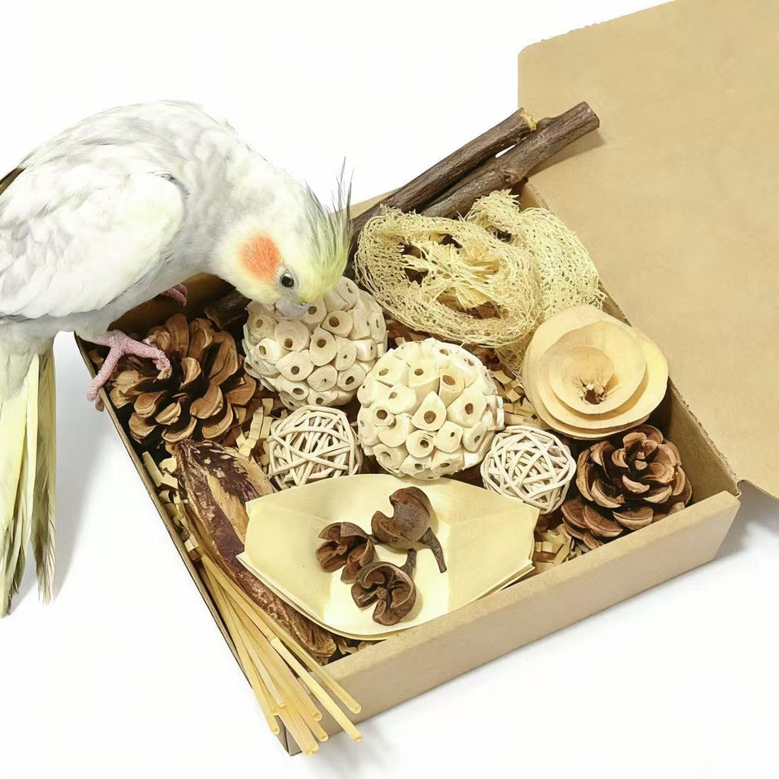 Bird Pet Toys - Lotus Pod Foraging Box, 10 Natural Ingredients