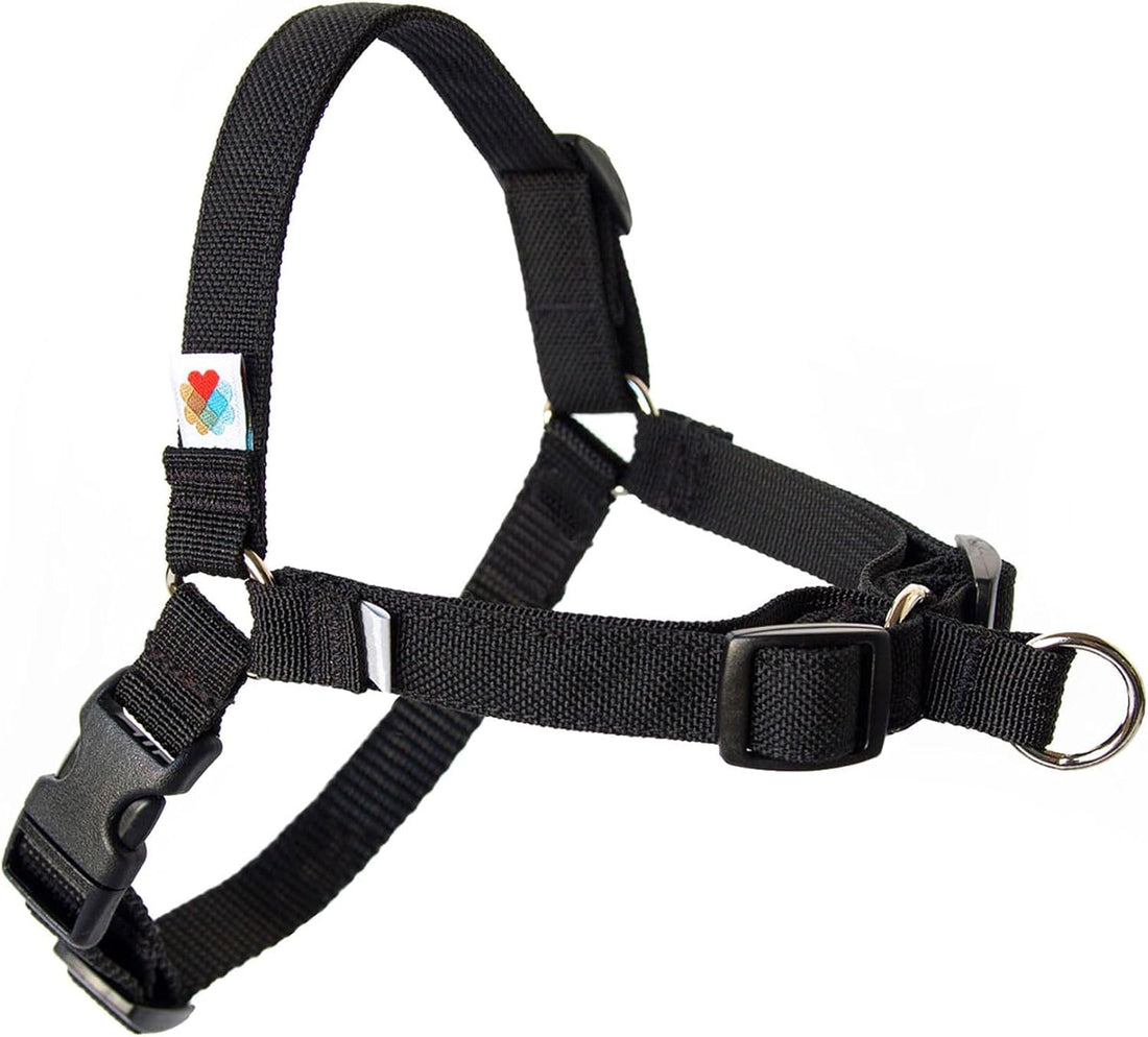 Wildebeest No Pull Dog Harness | Comfortable Training Harnesses