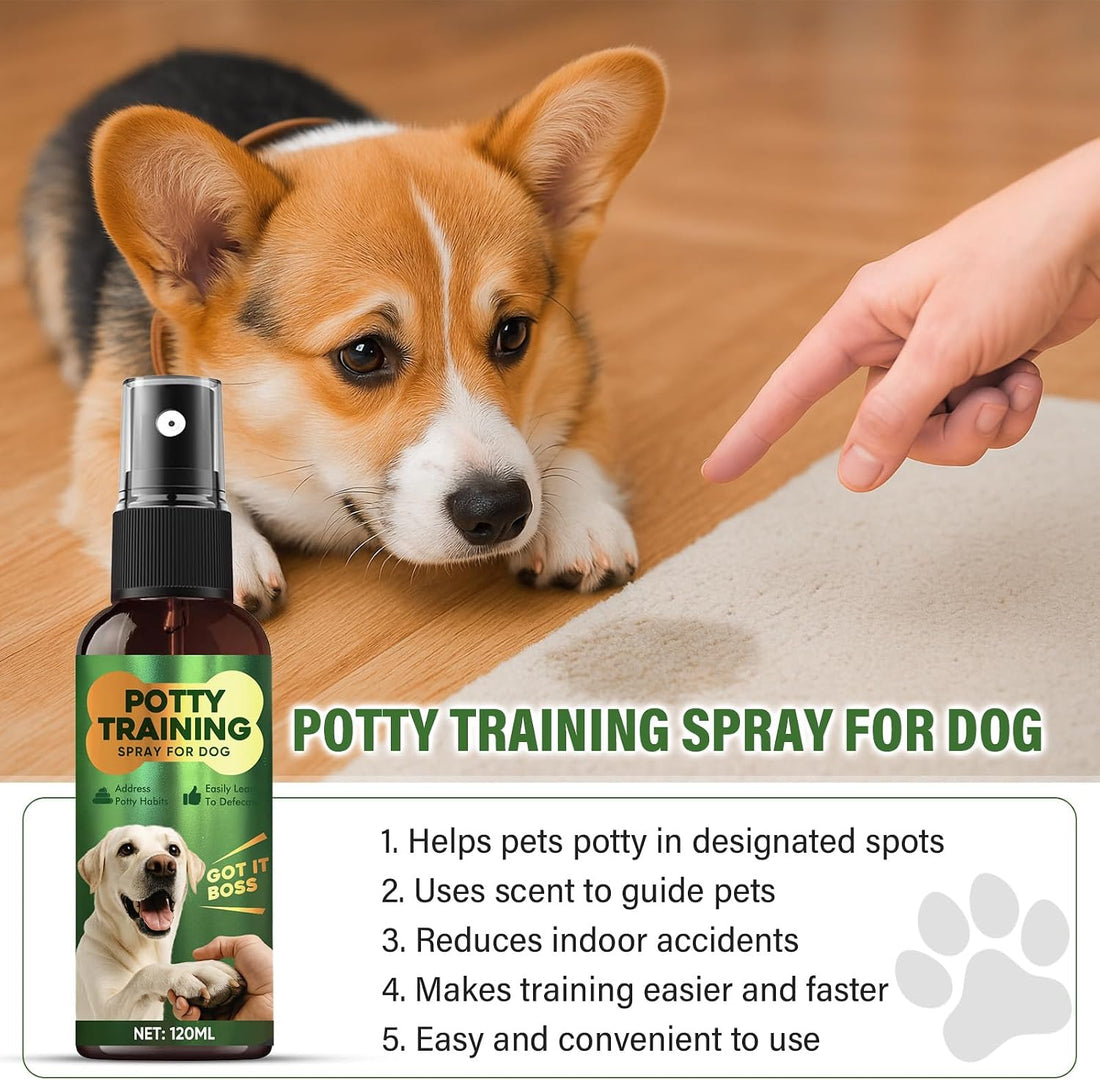 Potty Training Spray for Dogs, Indoor and Outdoor Housebreaking Aid