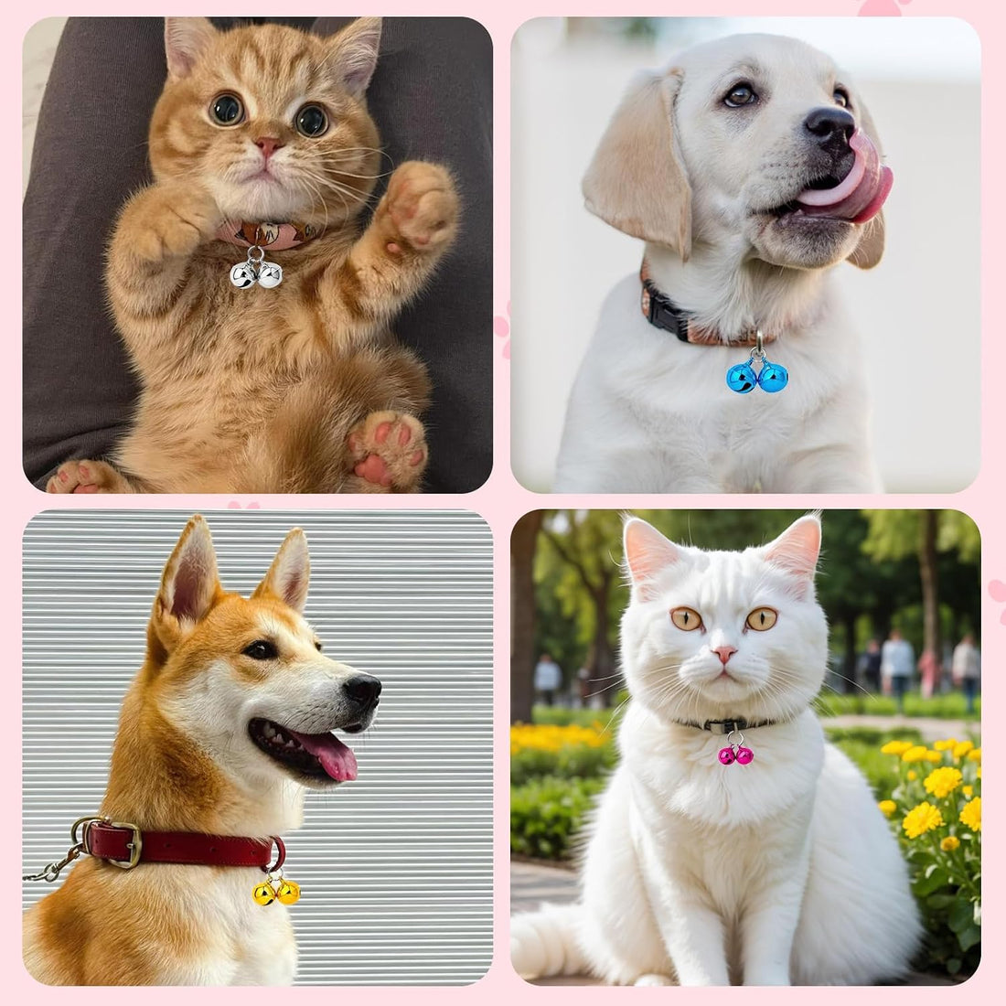 PETKNOWS 6 Pack Pet Bells for Dog Cat Collars