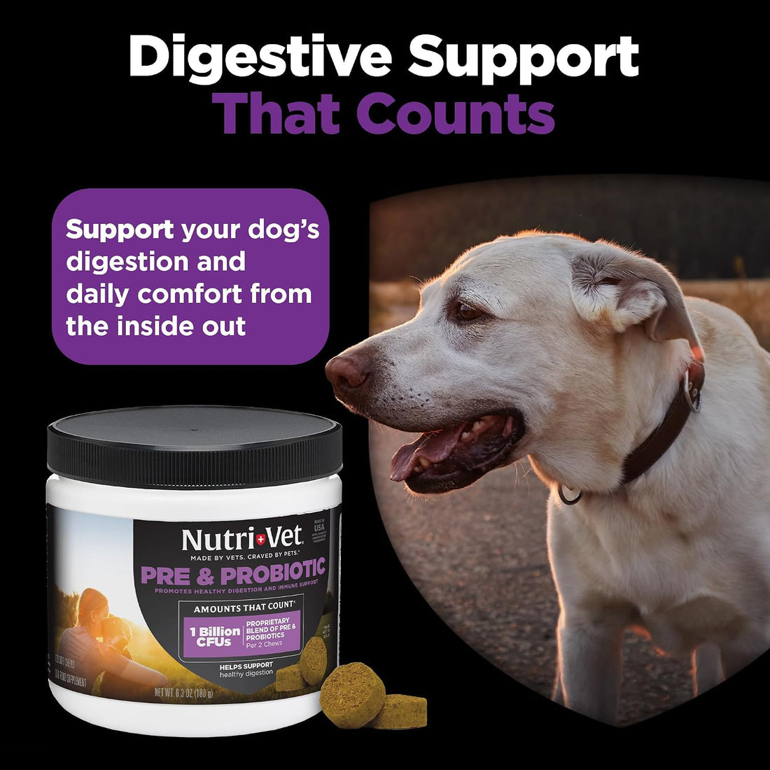 Nutri-Vet Pre & Probiotics for Dogs, Digestive Support, Upset Stomach