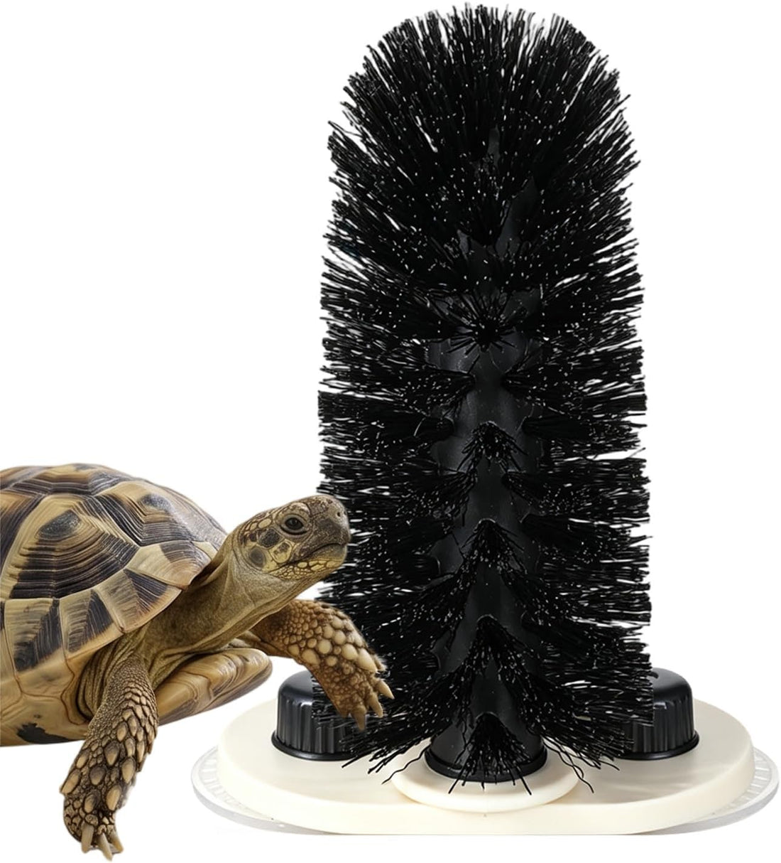 Turtle Brush with Suction Cup