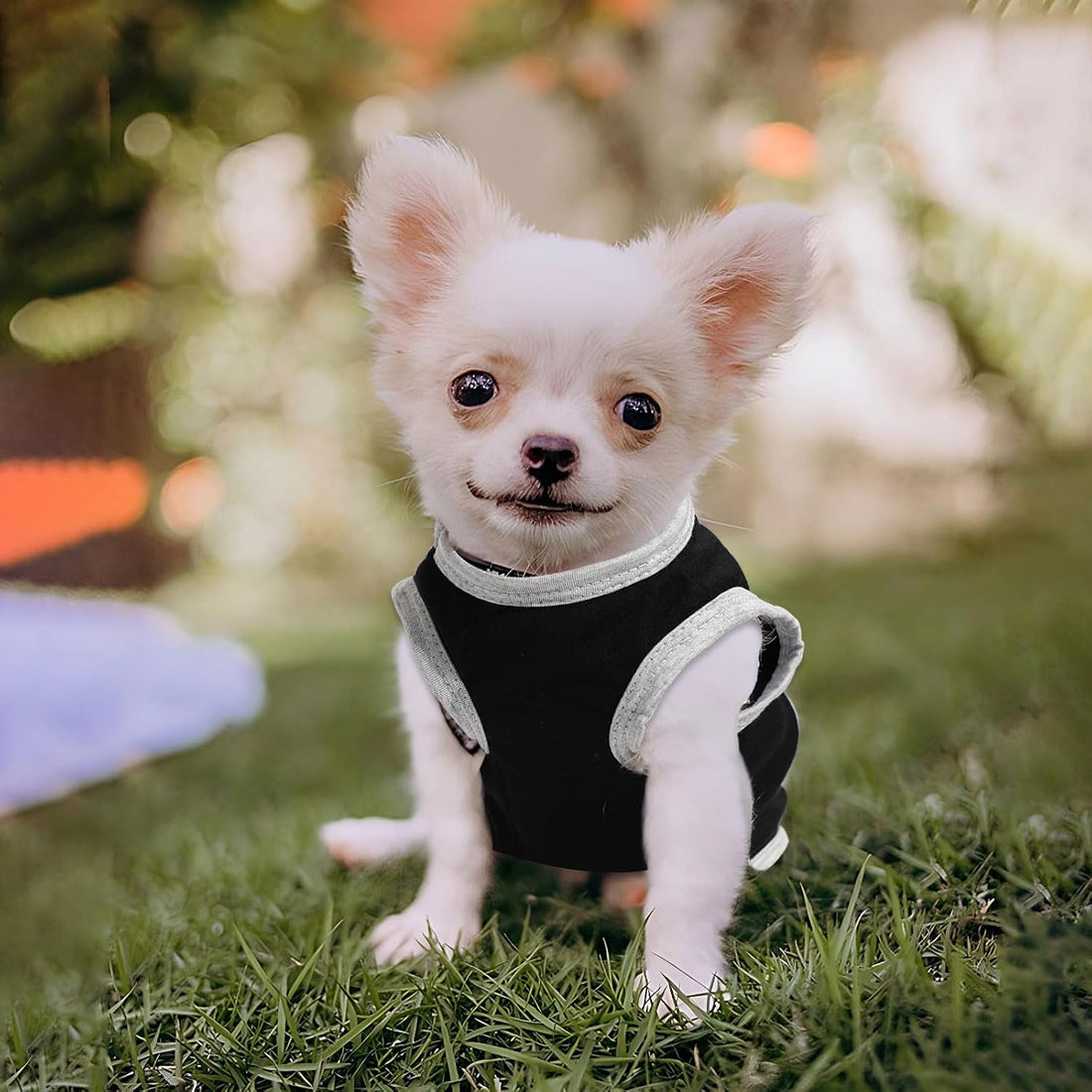 4 Pieces Dog Clothes for Small Dogs Boy Dog Shirt Puppy Clothes