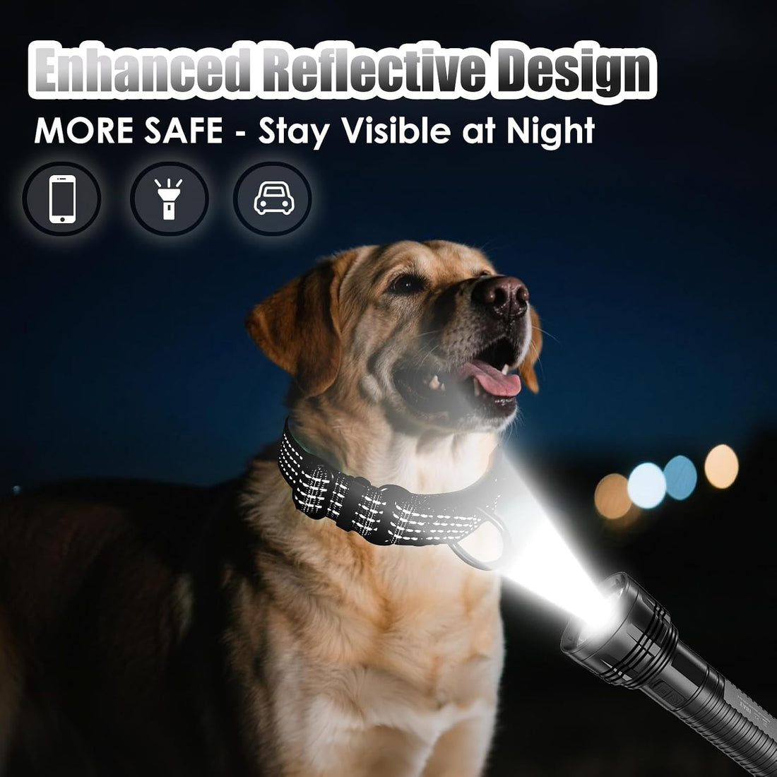 Martingale Dog Collar, Reflective No Pull with Buckle, Black, M