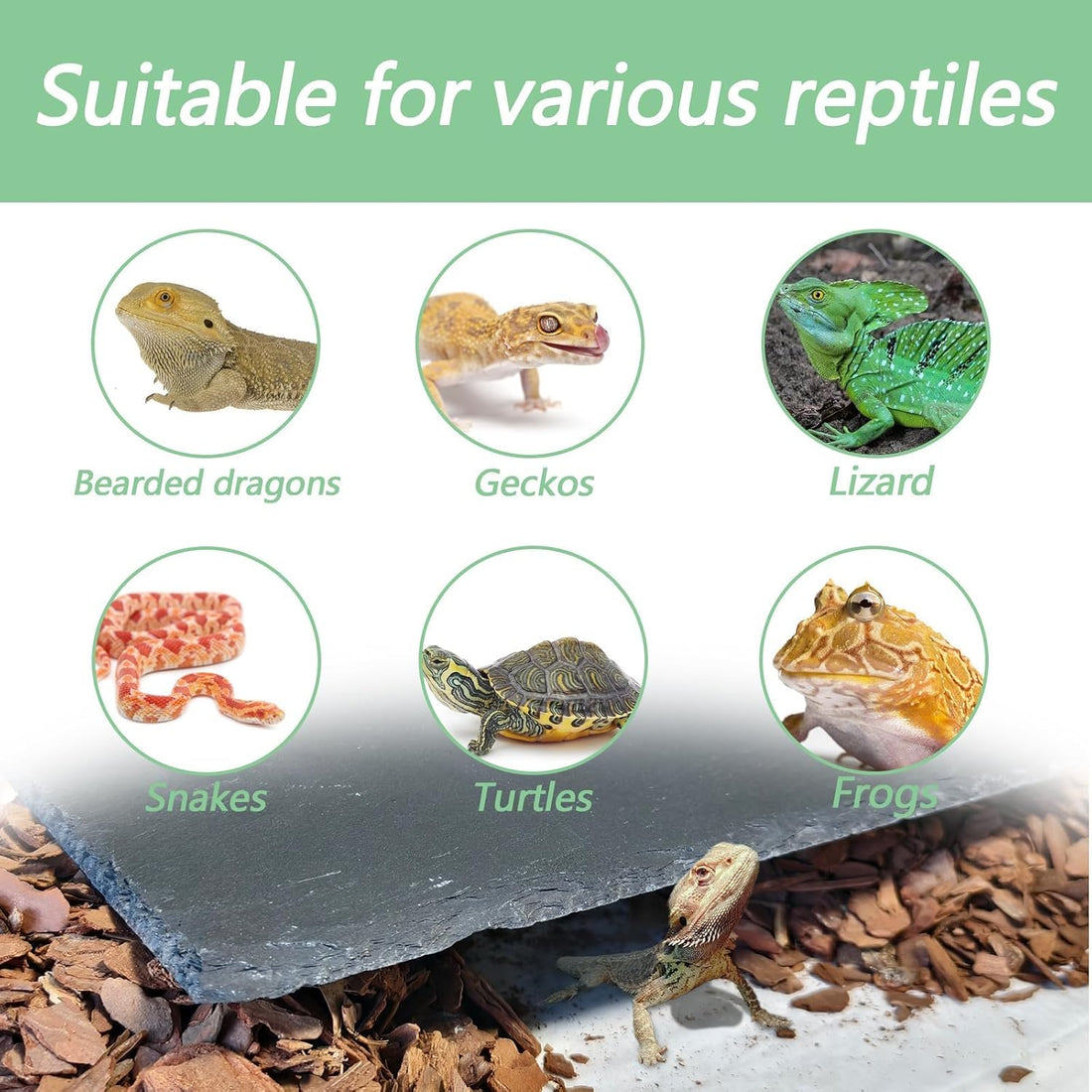 Bearded Dragon Basking Platform Rock Slate with Bark Substrate,M