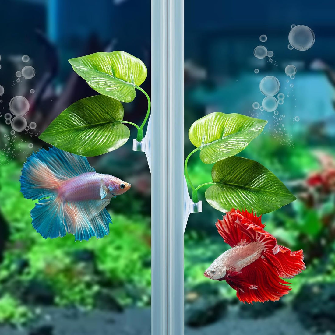 CousDUoBe 2 Pack Betta Fish Leaf Pad Improves Betta's Health by