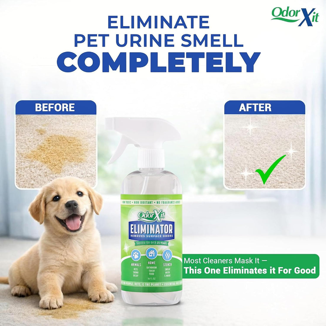 OdorXit Pet Urine Odor Eliminator