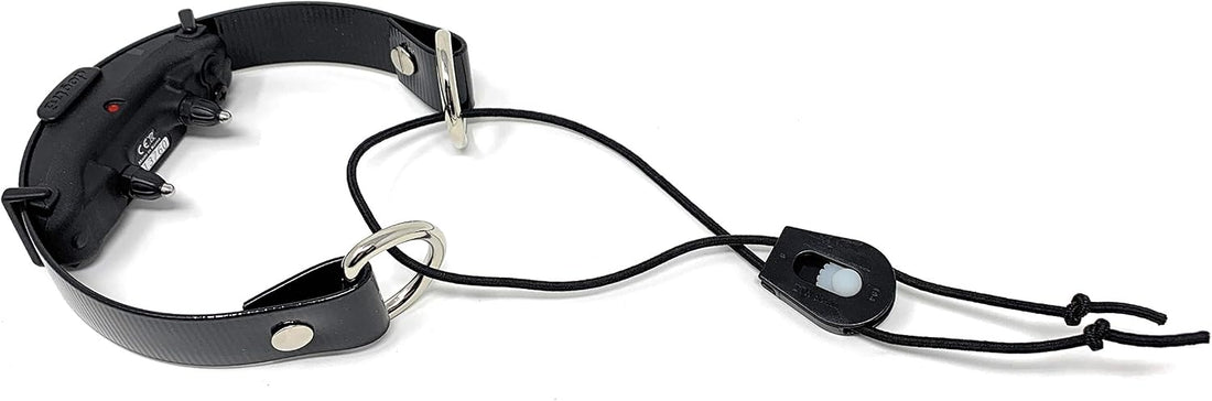 Sparky Pet Co Surefit Bungee Dog E-Collar Replacement Strap, 3/4 Inch