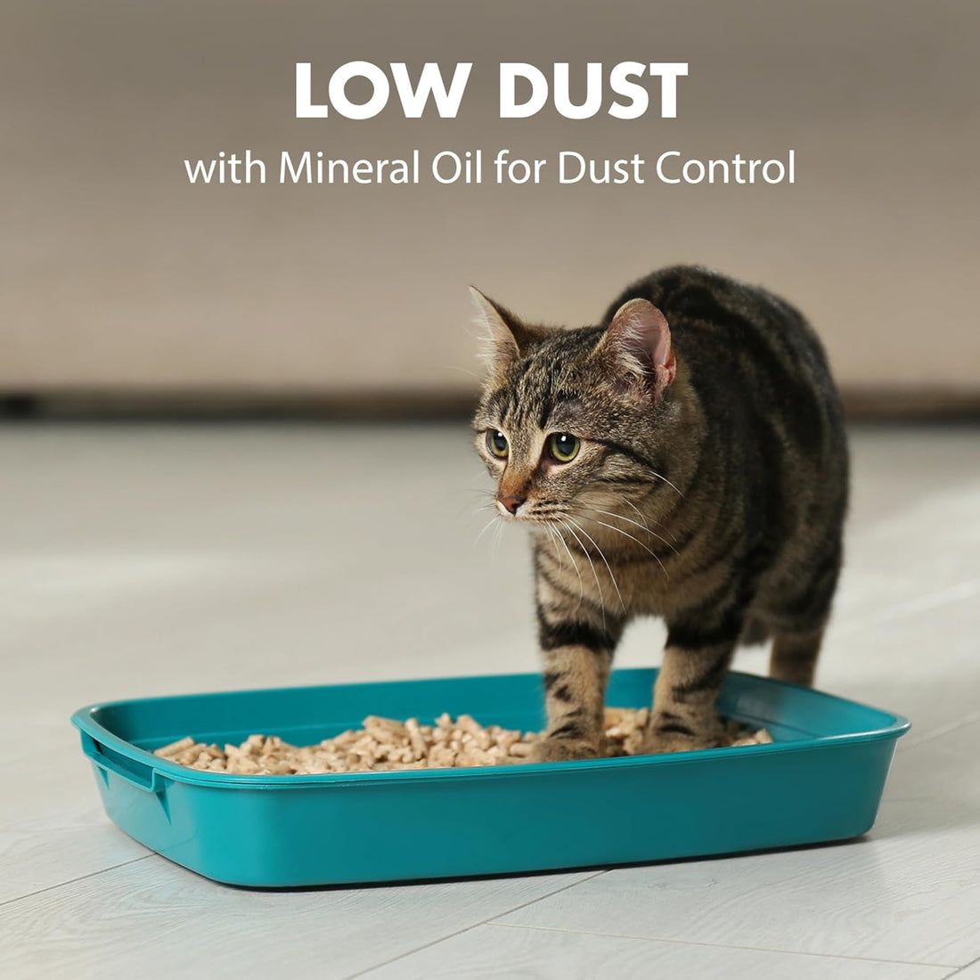 ARM & HAMMER Naturals Clumping Cat , Litter Odor Control