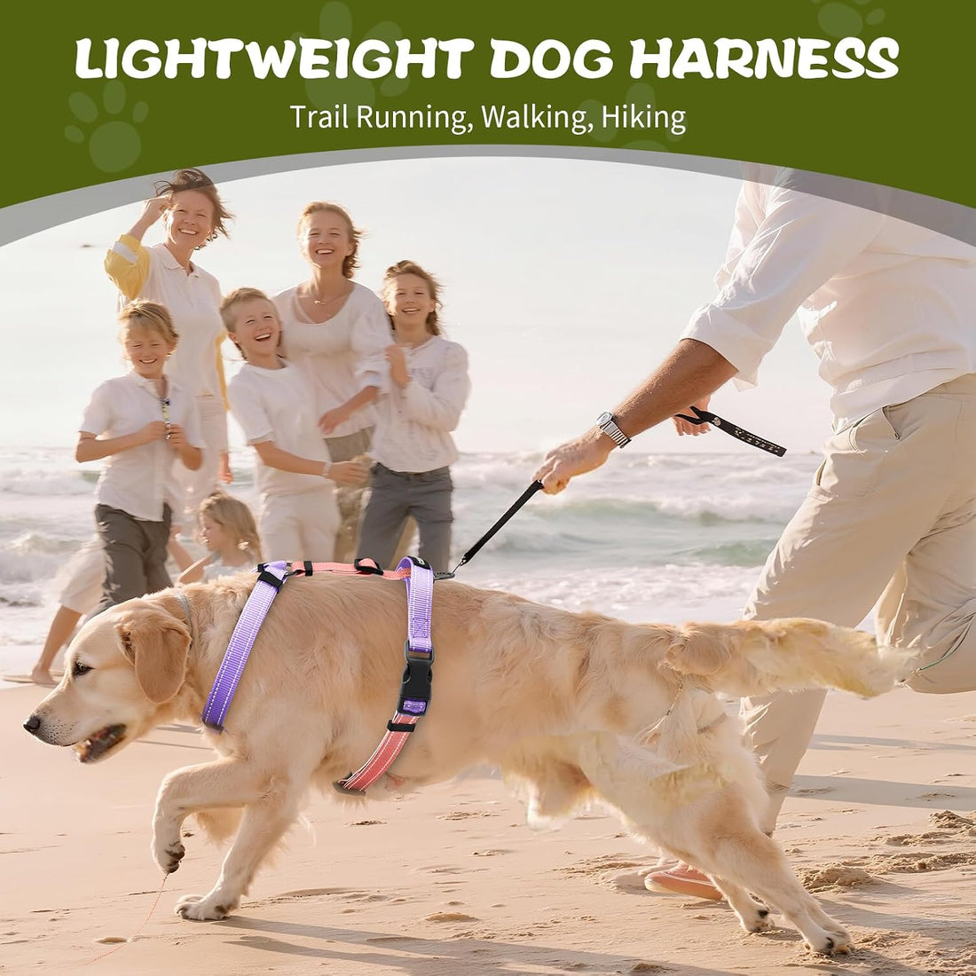 Dog Harness,Adjustable No Pull Dog Harness,Y-Shaped Design