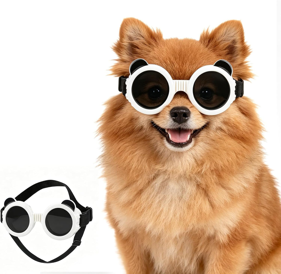 Dog Goggles for Small Breed, Anti-UV Windproof Extra Small Dog