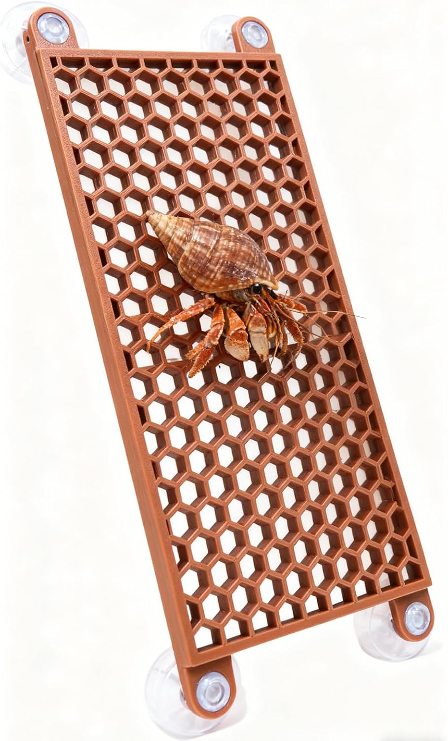Hermit Crab Climbing Toy, Reptile Habitat Decor Exercise Playground