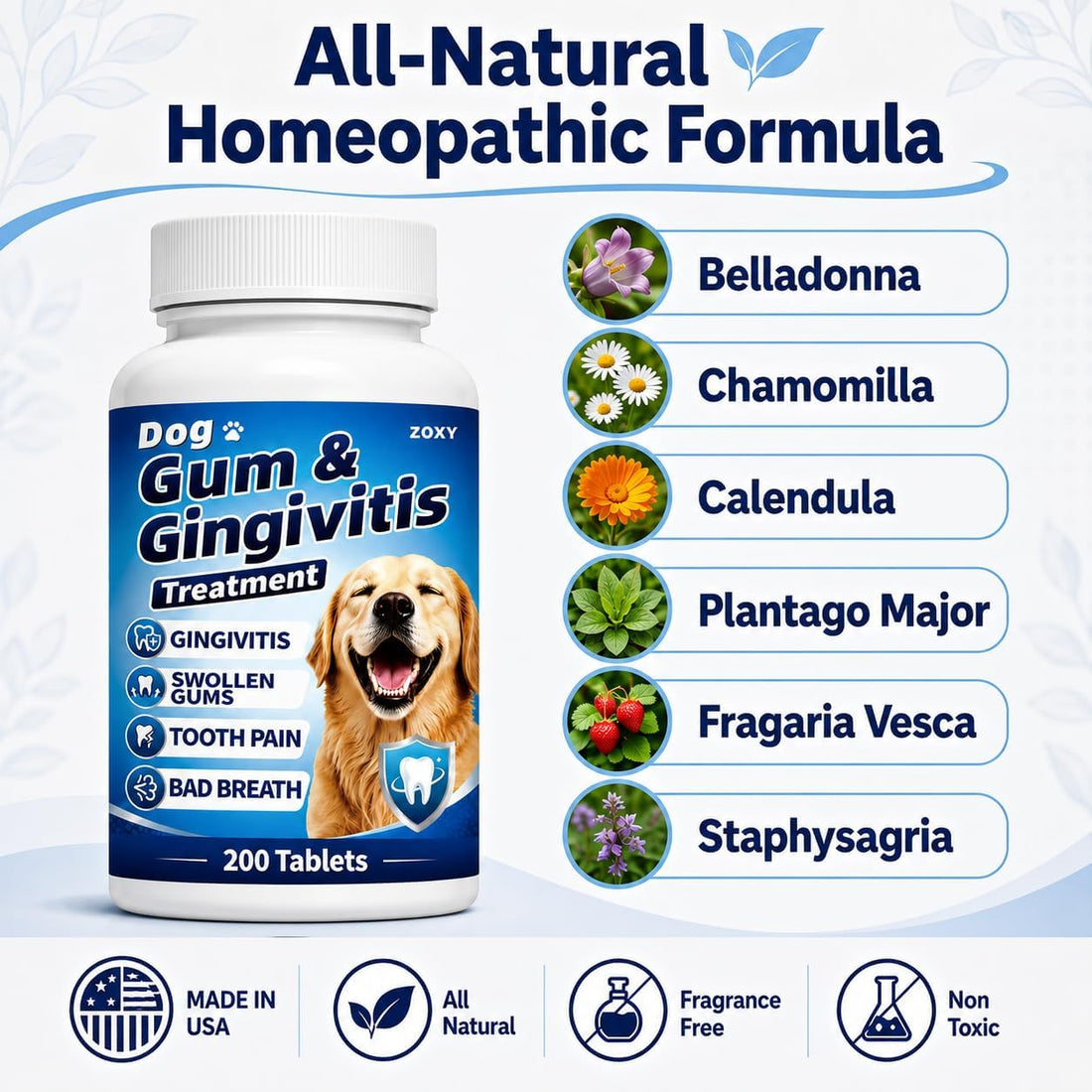Dog Gingivitis Treatment, Gum Disease Treatment & Dog Tooth Pain