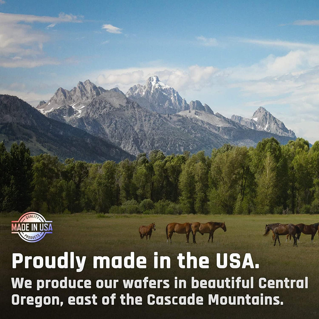 Majesty's Flex HA Wafers - Superior Performance Horse/Equine Joint