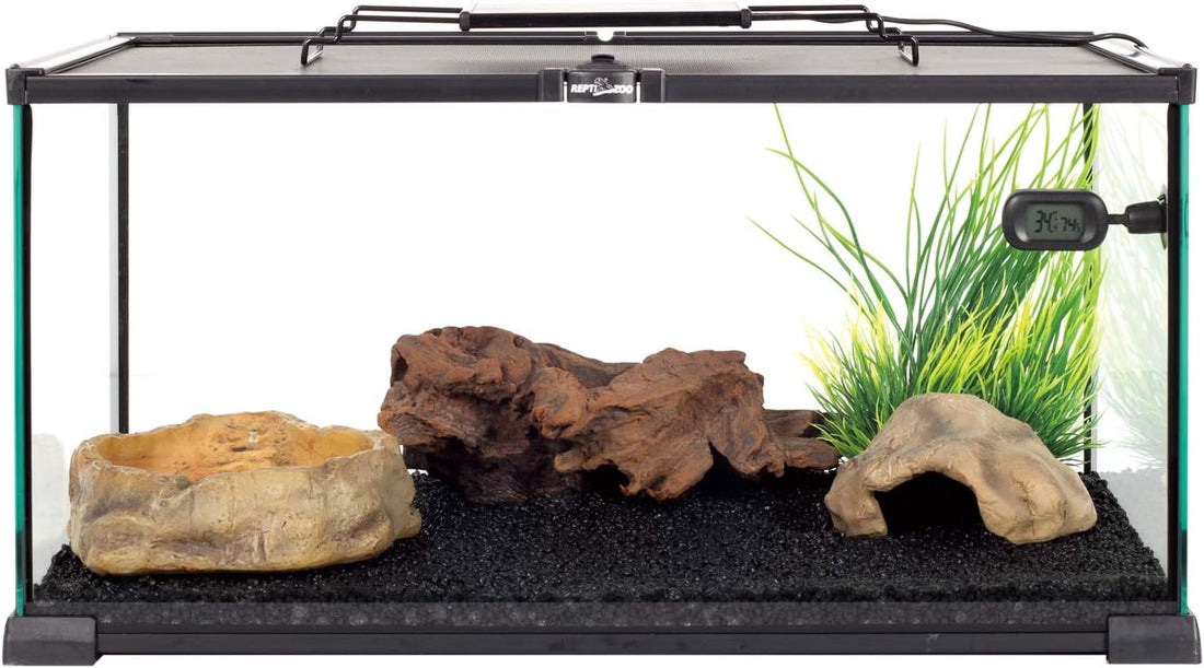 REPTIZOO Reptile Water Bowl Terrarium Water Dish Food Feeding Bowl