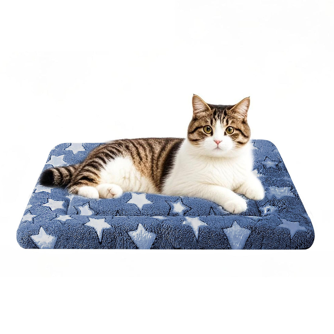 Fogkiss Dog Bed Mat, Reversible Crate Pad & Cute Dog Bed