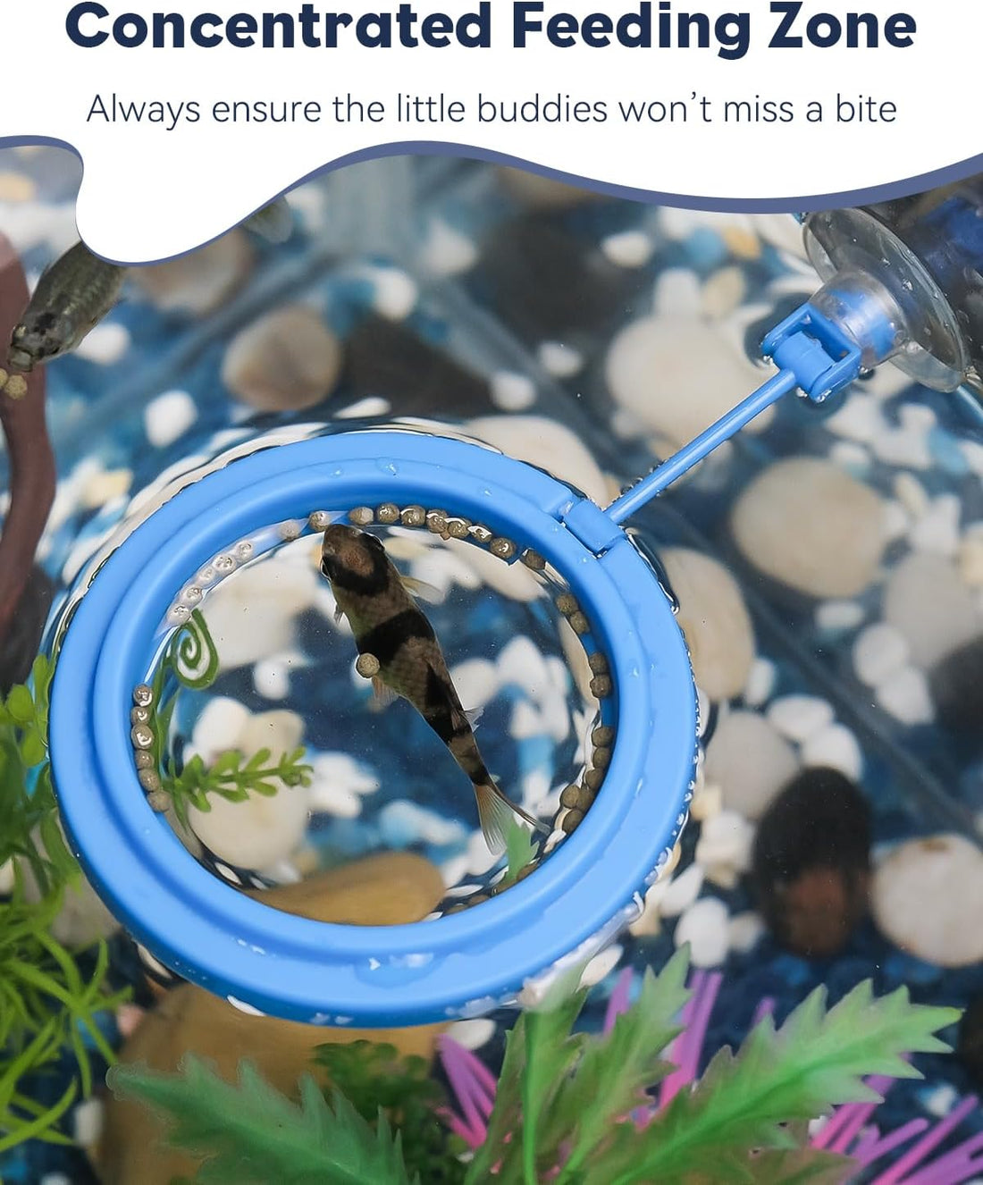 Pawfly Fish Feeding Ring for Aquarium, Feeding Ring with Suction Cup
