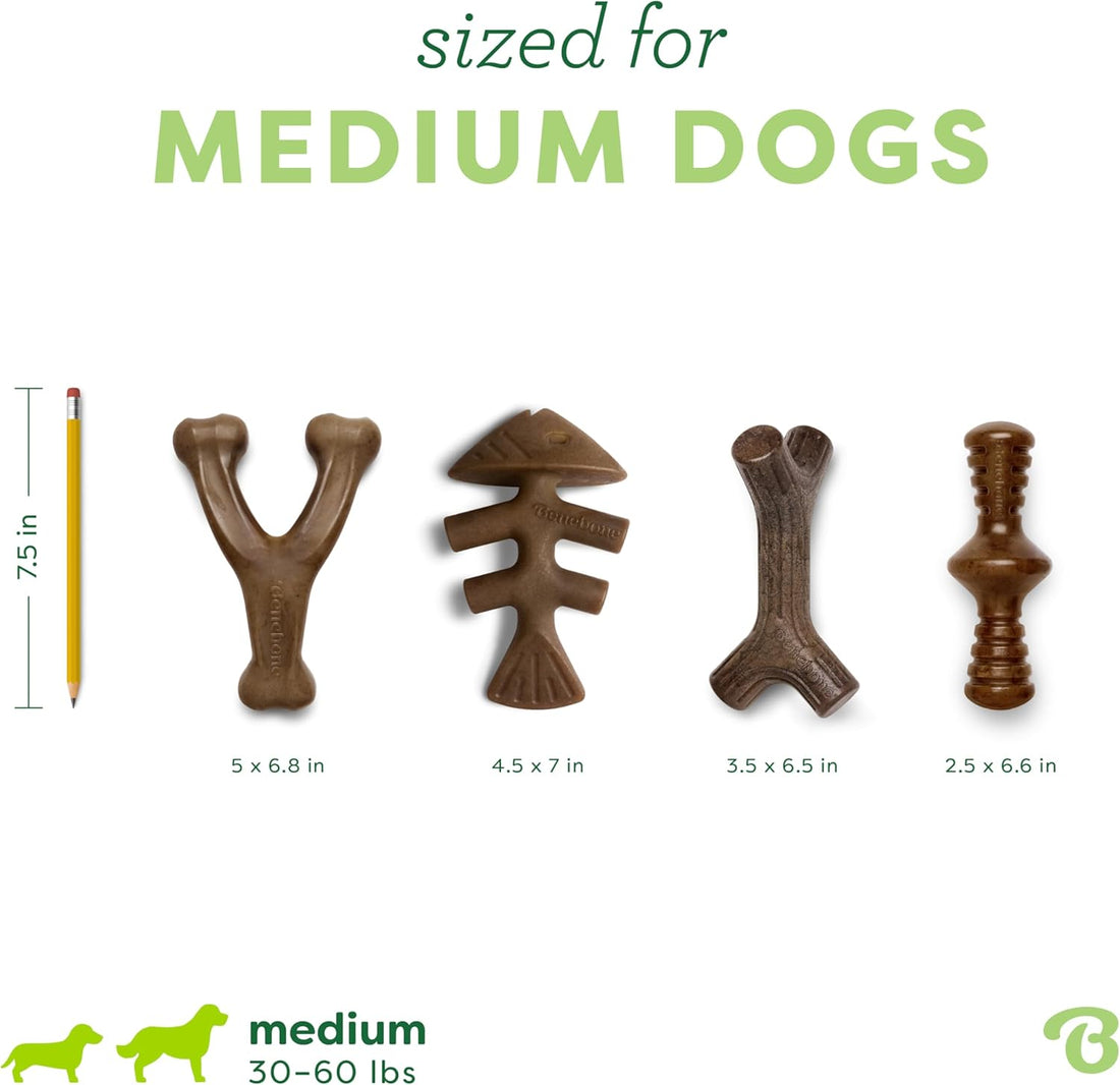Benebone Medium 4-Pack Dog Toys for Aggressive Chewers