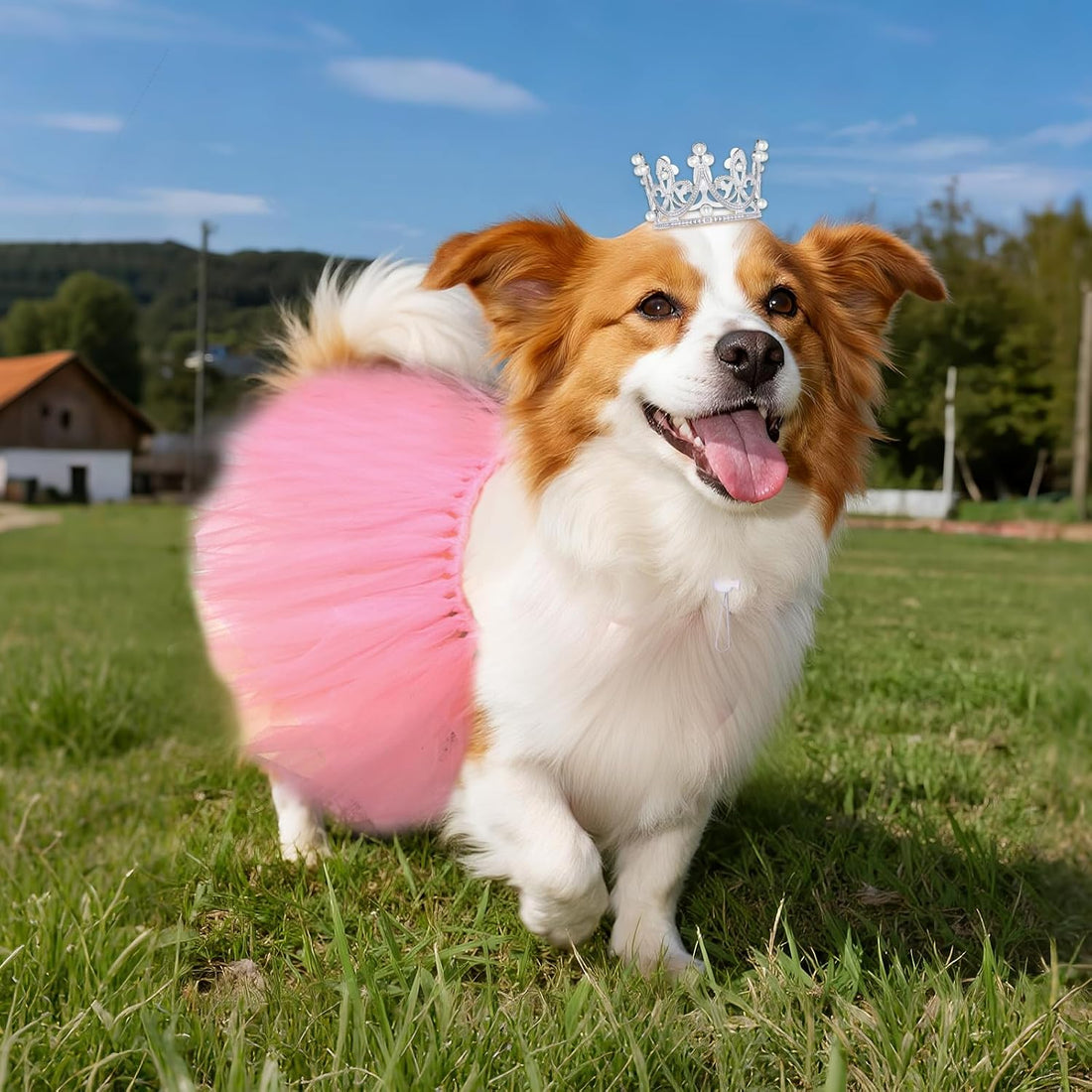 2 Pcs Dog Tutu Dress with Pearl Crown for Small Medium Pet Cat Dog