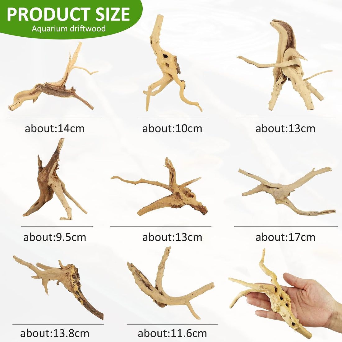 8 Pcs Natural Spider Woods, 4-8 Inch