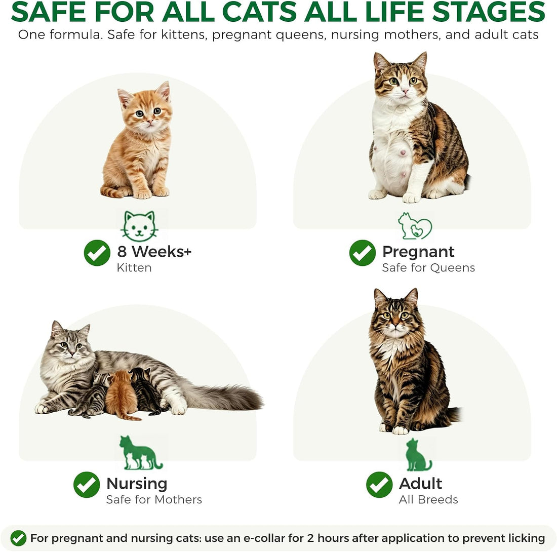 Flea and Tick for Cats, Cat Flea & Tick Topical Drops, 6 pc 8+ Weeks