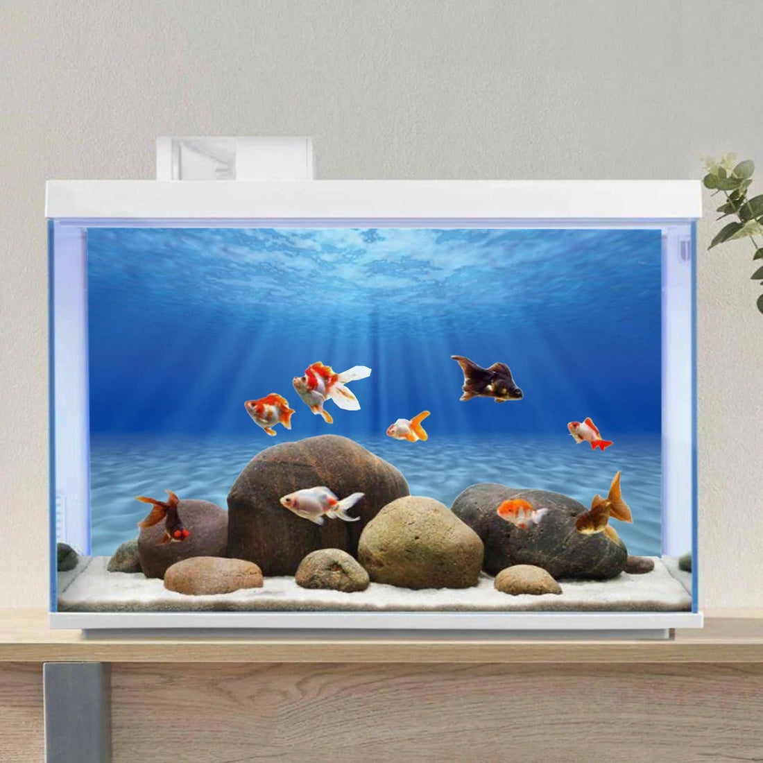 AWERT Undersea Aquarium Backdrop Sunshine Fish Tank Background 24x12