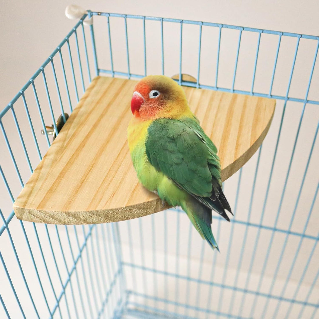 2 Pack Bird Perch Platform, Parrot Stand Sector Playground Wood Perch