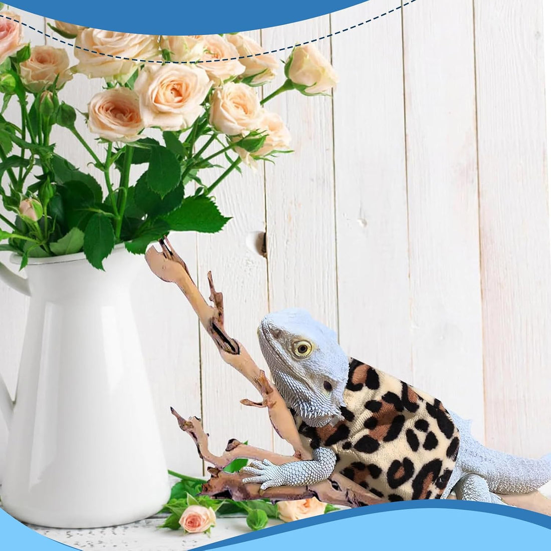 Lizard Clothes Bearded Dragon Hoodie Sweater Jacket Small Pet Costume