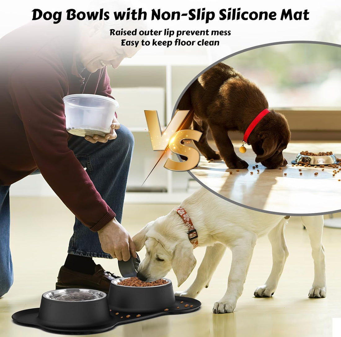 AsFrost Dog Food Bowls Stainless Steel & Water Dish with No-Spill