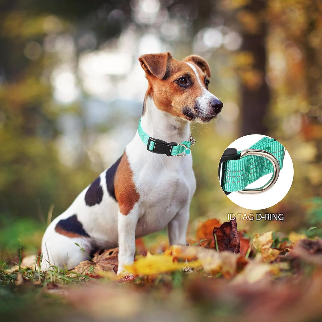 Martingale Collar for Dogs,Escape Proof No Pull, Teal, Large