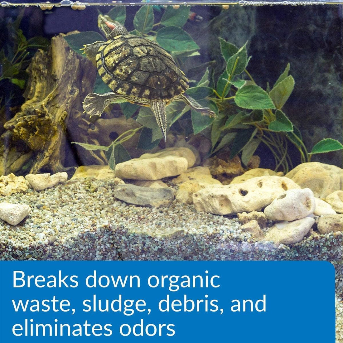 API TURTLE SLUDGE DESTROYER Aquarium Cleaner and Sludge Remover