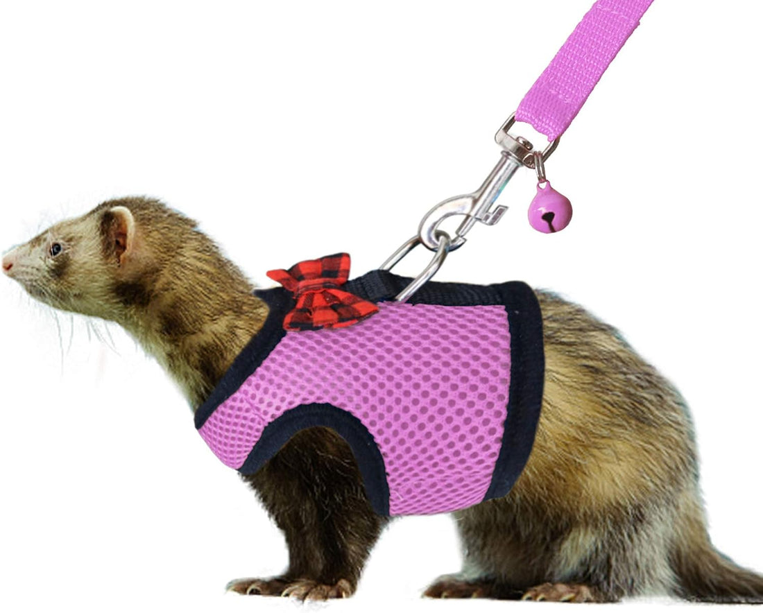 2pcs Animal Harness and Leash