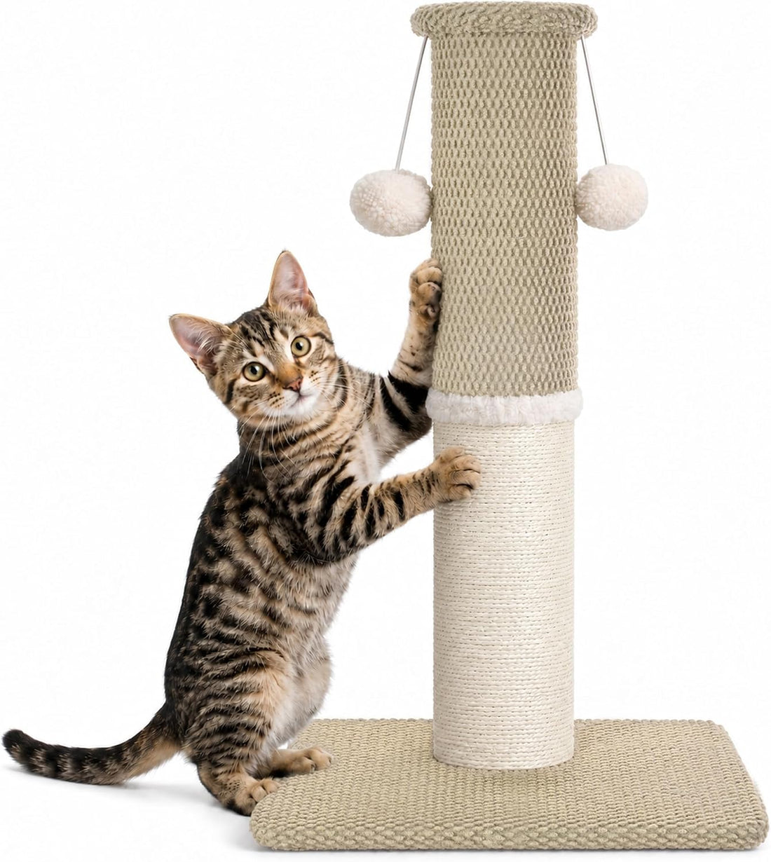 Made4Pets Cat Scratching Post with Sisal & Carpet for Indoor Cats