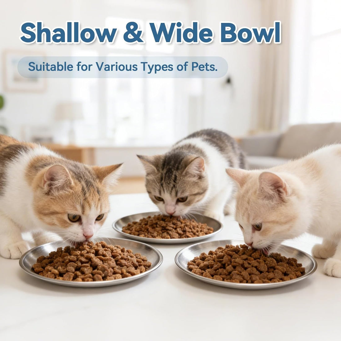 8 Pack Stainless Steel Cat Food Bowls