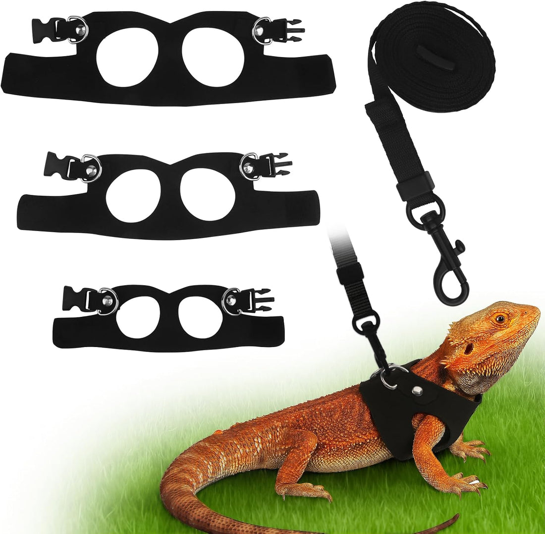 3Size Black Bearded Dragon Leash and Harness Set with Lizard Traction