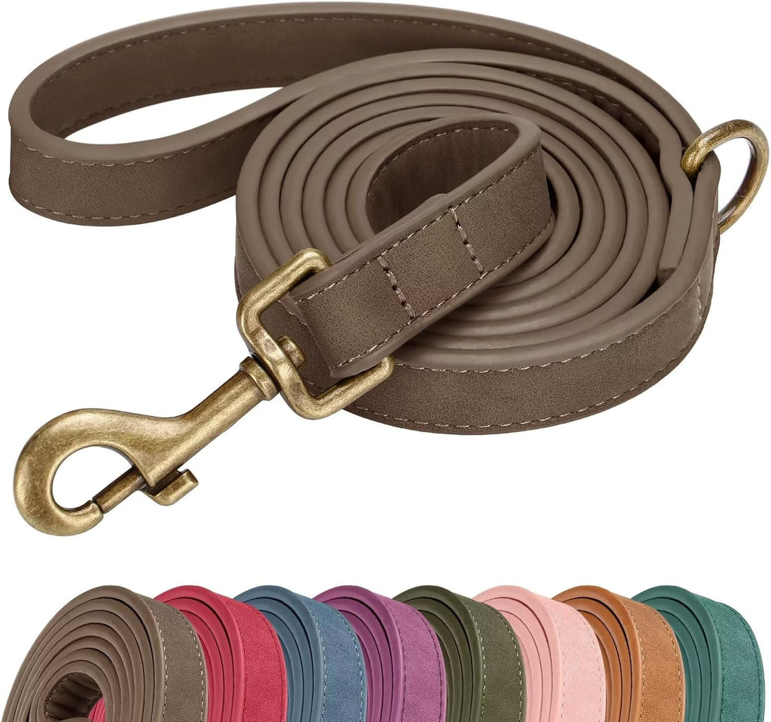 Didog PU Leather Dog Leash for Small Dogs, 5/8in x 5ft