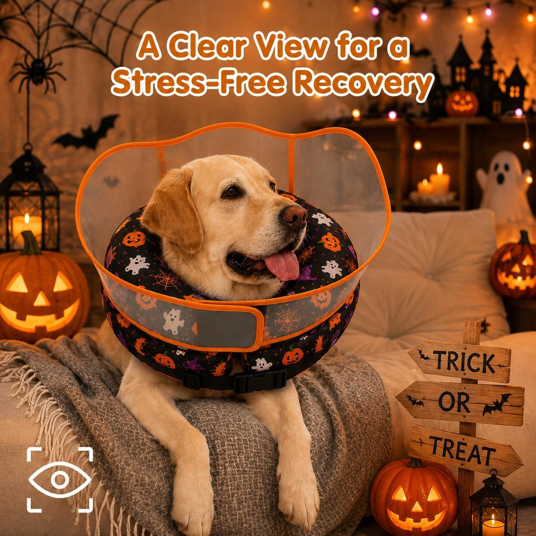 Avont 2-in-1 Dog Cone XL Halloween Shield