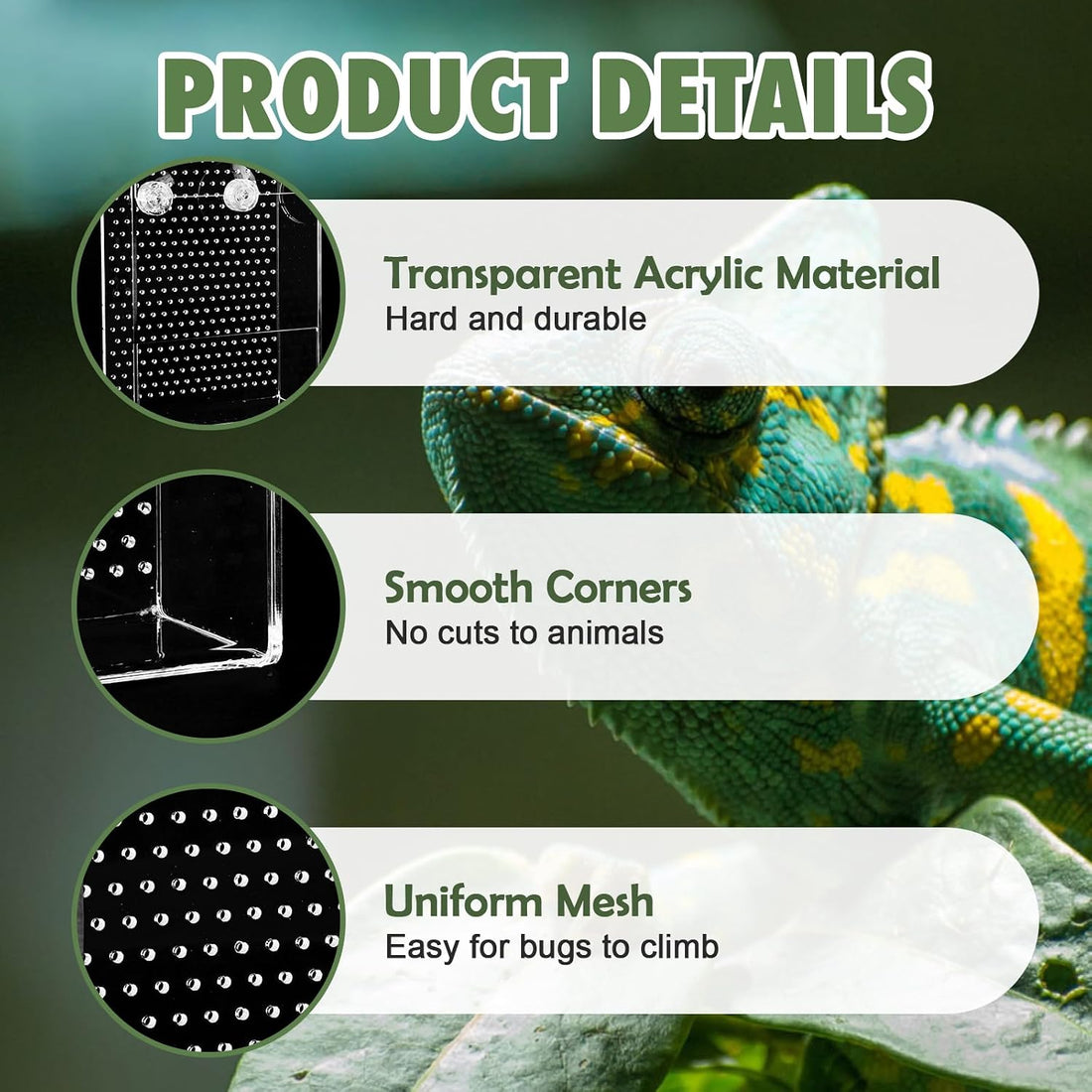 Chameleon Feeder Box with Suction Cups