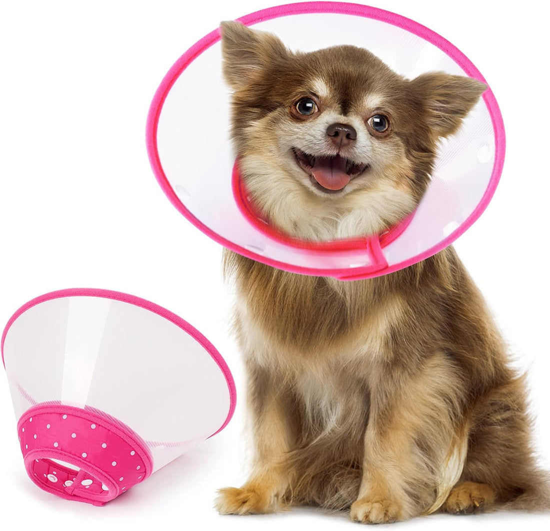 Vivifying Dog Recovery Cone for Small Dogs & Cats, Snap Closure, Blue