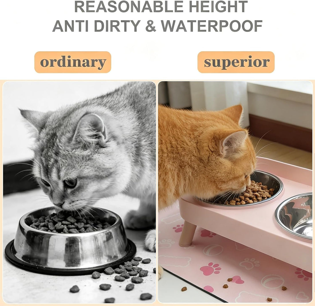 Elevated Dog Bowl, Raised Feeding Stand with Mat for Small Dogs Under