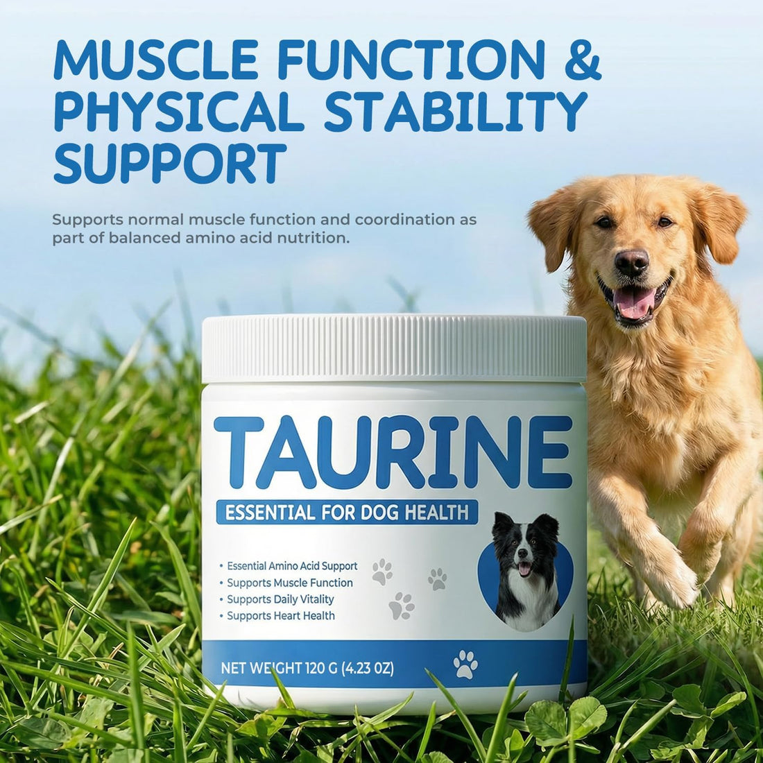 Taurine Powder Supplement for Dogs, Heart Function