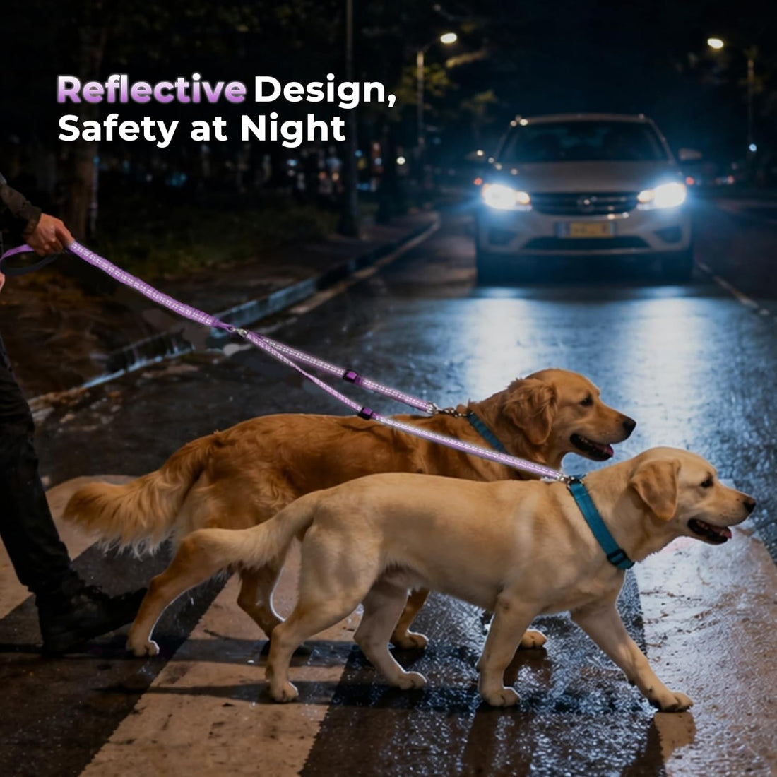 Double Leash for Two Dogs, No Tangle Bungee Dog Leash