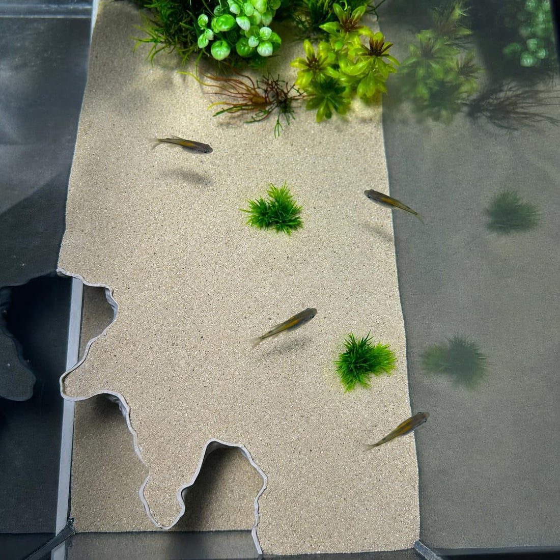 Aquarium Corner Underground Cave