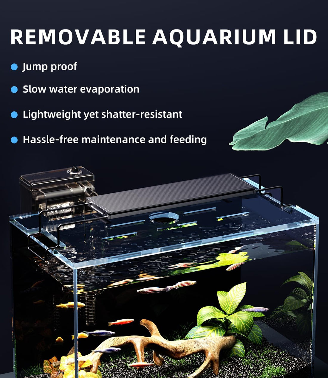 5 Gallon Fish Tank Aquarium Starter Kit with Filter Light Lid Rimless