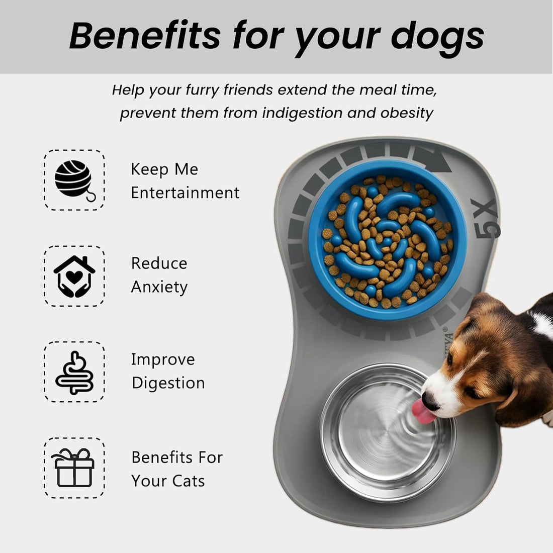 YINEYA 3 in 1 Slow Feeder Dog Bowls & Stainless Steel Food and Water